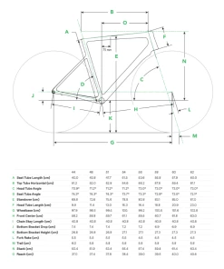 Cannondale SuperSix Evo Carbon Disc Ultegra - Cashmere, CAS -Fahrrad Verkaufsladen MY20 GEOS SUPERSIX EVO 9835 10