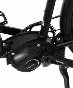 Omnium Cargo Omnium E-Cargo WIFI Lastenrad - Shimano E8000 / Elrond Green -Fahrrad Verkaufsladen Omnium E Cargo WiFi black 2 4121 4