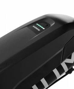 Omnium Cargo Omnium E-Cargo WIFI Lastenrad - Shimano E8000 / Elrond Green -Fahrrad Verkaufsladen Omnium E Cargo WiFi black 4 4121 6