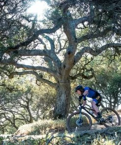 Marin TEAM MARIN 2, MTB Schwarz - XT 12-fach Und Dropper Post 17 Marin TEAM MARIN 2, MTB Schwarz - XT 12-fach Und Dropper Post -Fahrrad Verkaufsladen Team Marin 2 action gallery