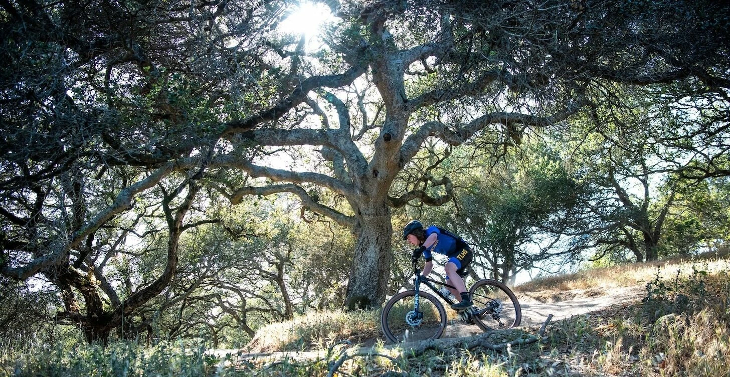 Marin TEAM MARIN 2, MTB Schwarz - XT 12-fach Und Dropper Post 8 Marin TEAM MARIN 2, MTB Schwarz - XT 12-fach Und Dropper Post – Bild 8