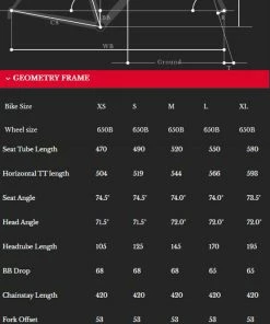 Bombtrack AUDAX Stahl Gravel 650b - Shimano 2x11 -Fahrrad Verkaufsladen bt audax geometrie