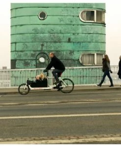 Larry Vs Harry BULLITT Lastenrad Cargobike - Shimano XT12 | 1x12 26 Larry Vs Harry BULLITT Lastenrad Cargobike - Shimano XT12 | 1x12 -Fahrrad Verkaufsladen family copenhagen 3655 10 3658 10 3659 10 4244 10