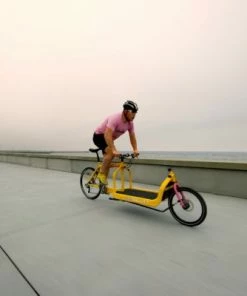 Larry Vs Harry BULLITT Lastenrad Cargobike - Shimano XT12 | 1x12 29 Larry Vs Harry BULLITT Lastenrad Cargobike - Shimano XT12 | 1x12 -Fahrrad Verkaufsladen race copenhagen 3655 13 3658 13 3659 13 4244 13